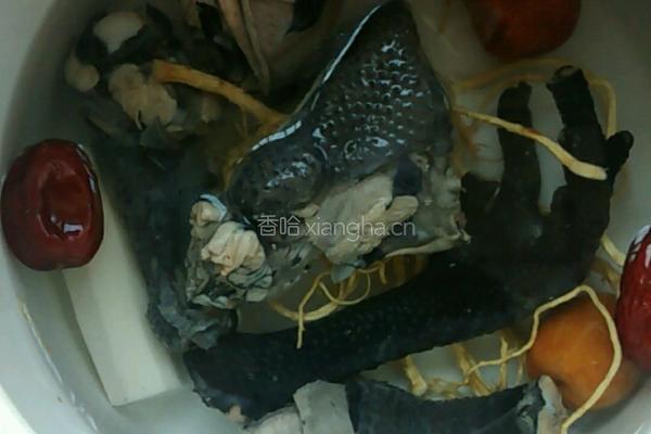 花旗参炖乌鸡的做法图解5