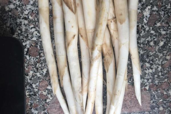 竹荪草芽炖鸡汤的做法图解3