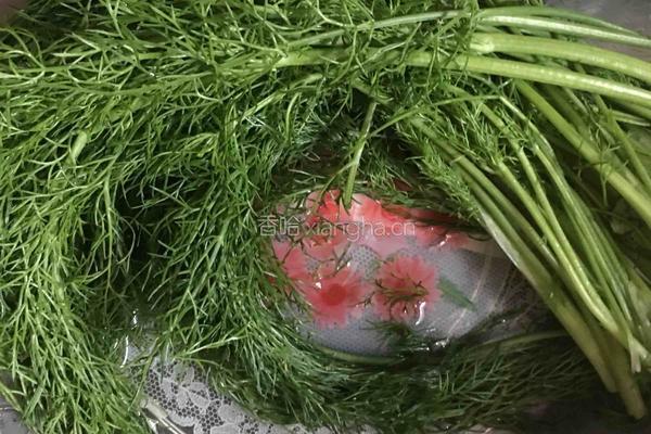 茴香鸡蛋饺子的做法图解2