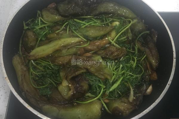 油焖尖椒的做法图解8