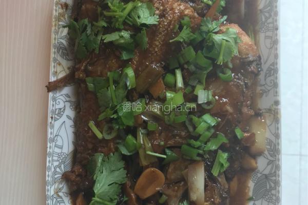 酱烧翘嘴鱼的做法图解9