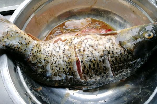 糖醋鲤鱼的做法图解1