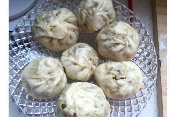 猪肉白菜什锦包的做法图解14