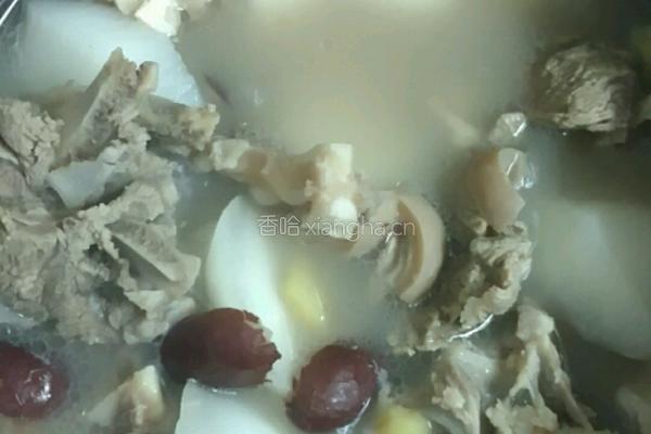 羊肉煲的做法图解5