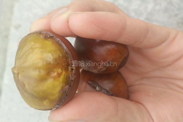糖炒栗子的做法图解15