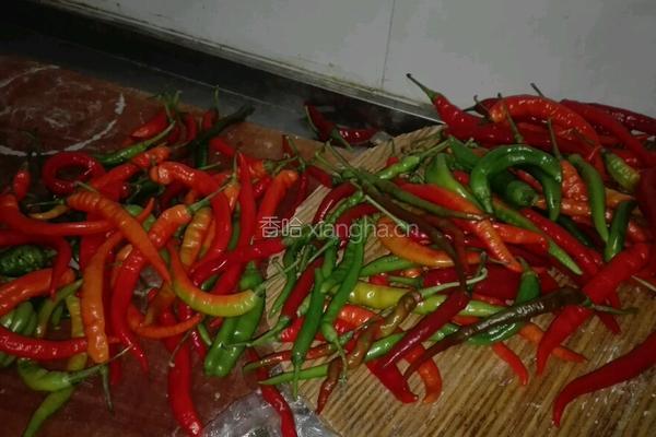 自制辣椒酱的做法图解1