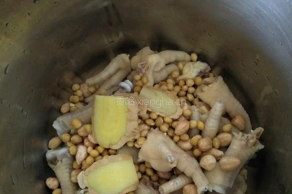 花生黄豆鸡爪汤的做法图解7