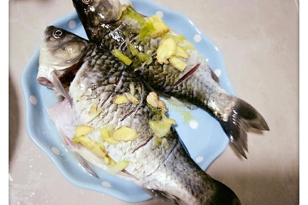 鲫鱼炖汤的做法图解3