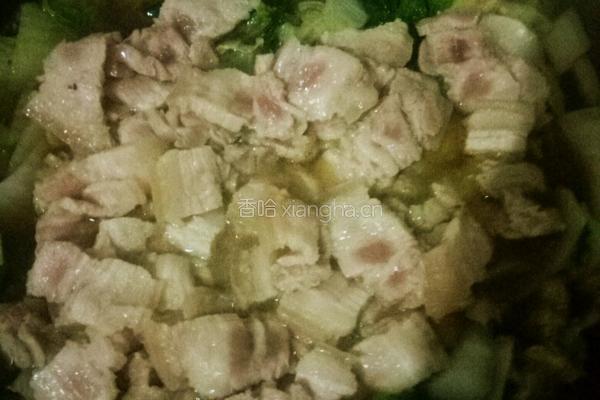 白菜粉条炖五花肉的做法图解5