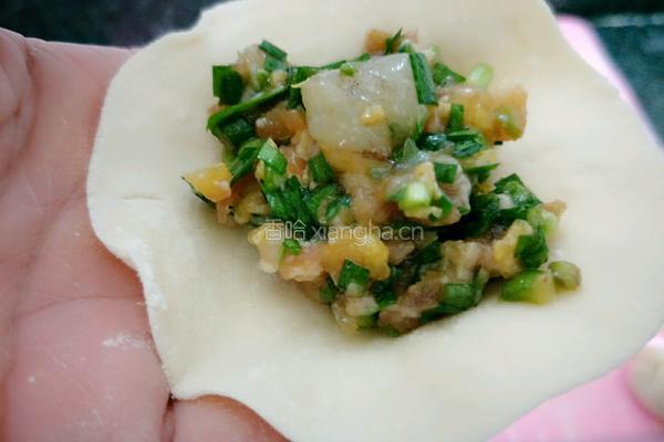 韭菜虾仁饺子的做法图解18