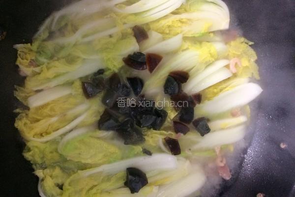 上汤娃娃的做法图解5