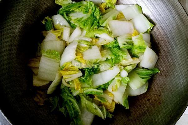 白菜炖肉丸的做法图解3