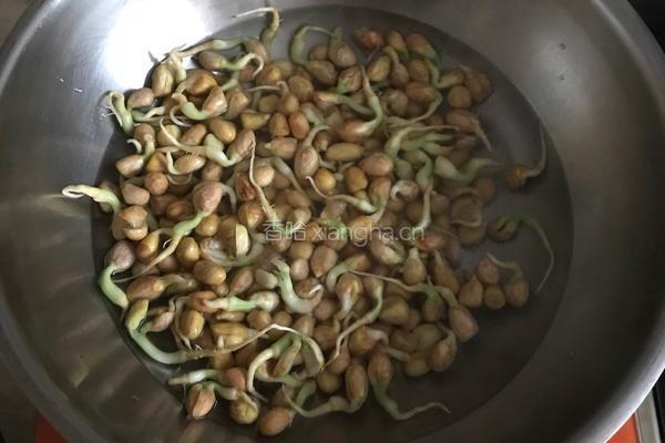 花生芽炒肉丝的做法图解2