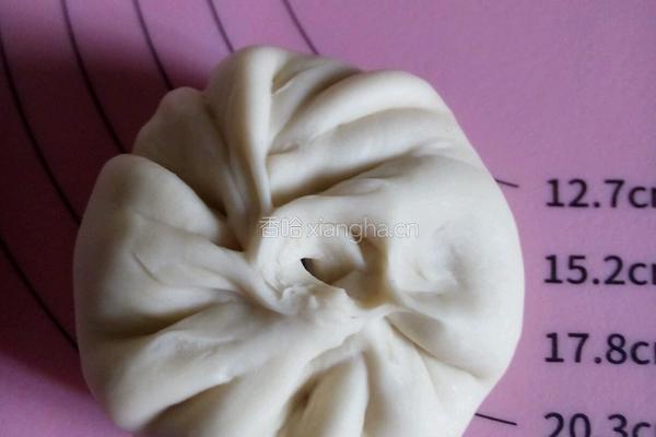 胡萝卜肉馅饼的做法图解11