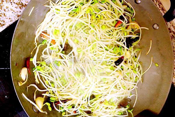 豆泡烧豆芽的做法图解6