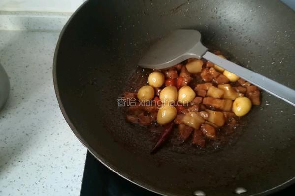 肉焖鹌鹑蛋的做法图解8