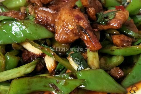 青椒回锅肉