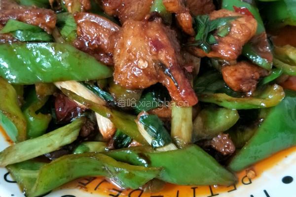 青椒回锅肉的做法图解6