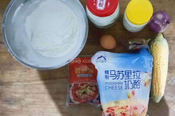 9寸烤箱洋葱披萨的做法图解1