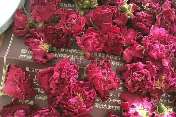 洛施玫瑰醋的做法图解1