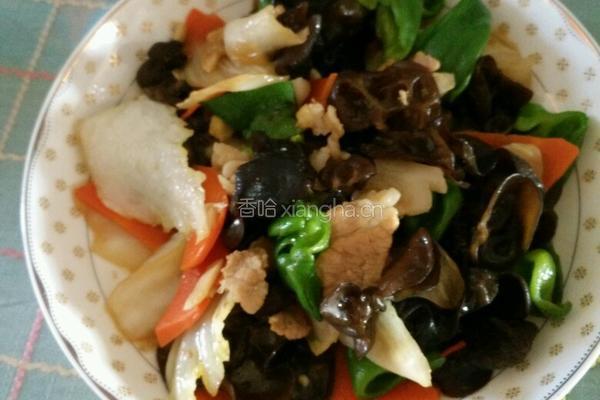 木耳炒白菜的做法图解17