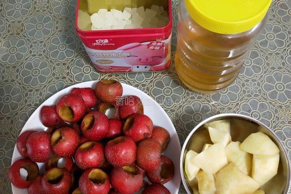 豆浆机山楂片的做法图解2