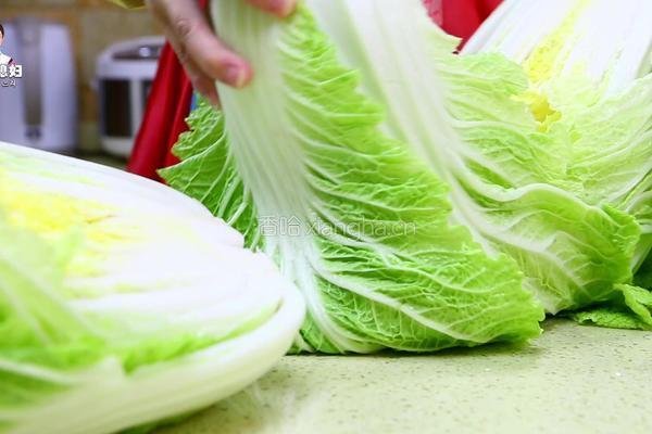朝族媳妇教你正宗辣白菜的做法的做法图解3