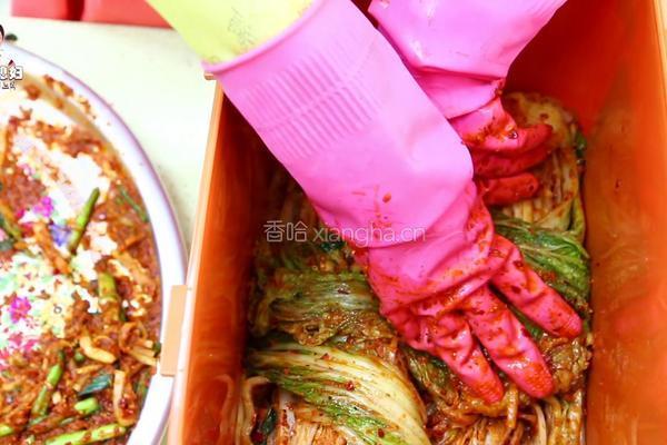 朝族媳妇教你正宗辣白菜的做法的做法图解33