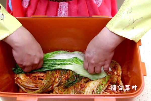 朝族媳妇教你正宗辣白菜的做法的做法图解34