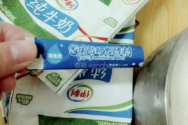 自制上海老酸奶的做法图解2