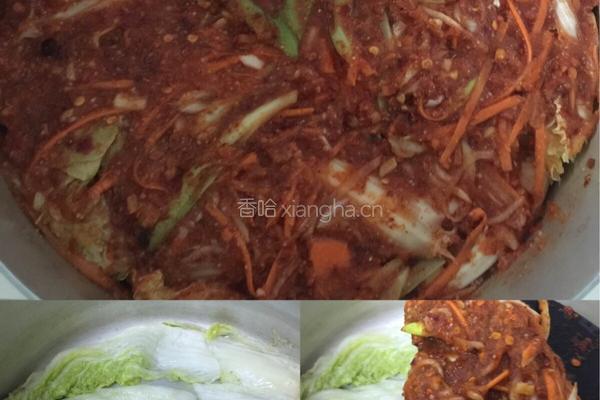 韩国泡菜的做法图解10