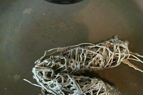 燕麦香焦核桃酱网饼的做法图解5