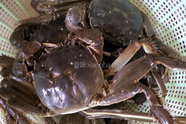 清蒸螃蟹的做法图解1