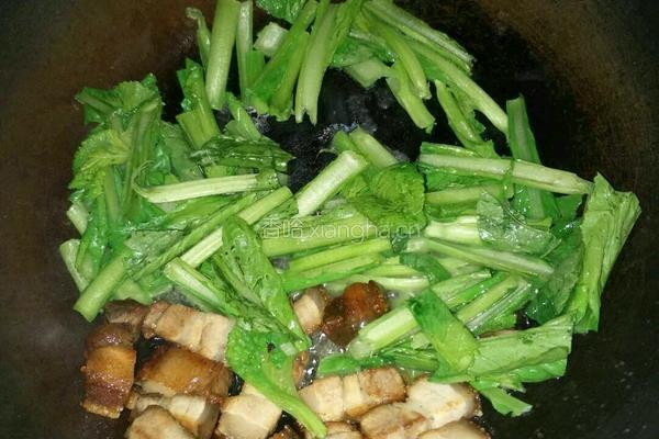 春菜炒肉的做法图解4