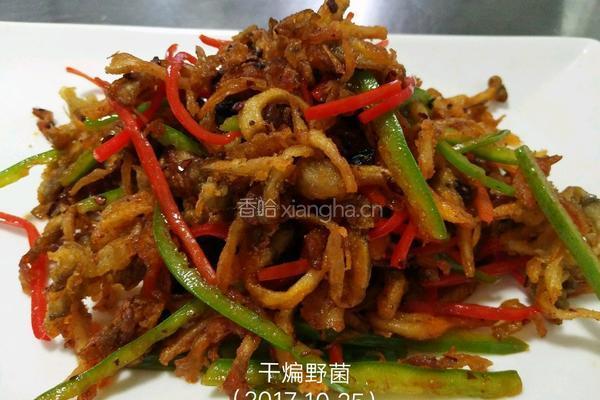 干煸野菌