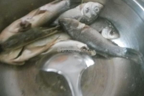 鲫鱼汤的做法图解3