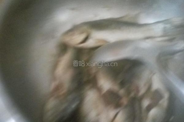 鲫鱼汤的做法图解5