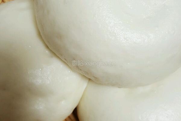 白胖馒头的做法图解3