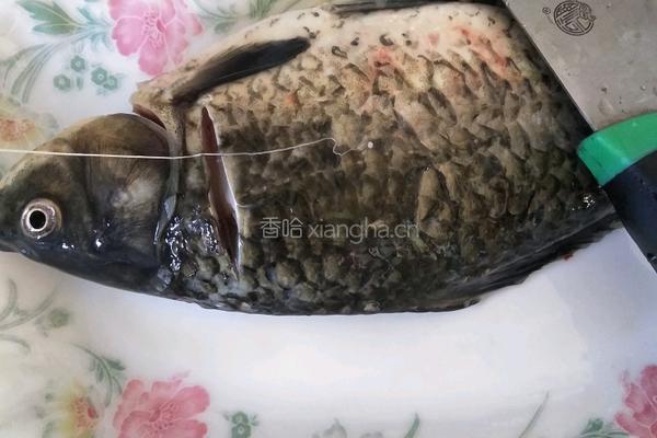 清蒸鲫鱼的做法图解2