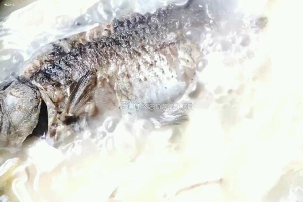 豆腐鱼汤(鲜）的做法图解3