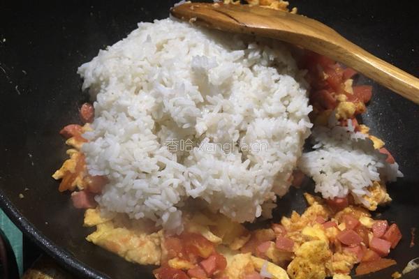 西红柿鸭蛋炒饭的做法图解8