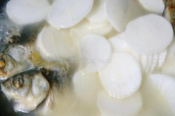 鲫鱼萝卜汤的做法图解6