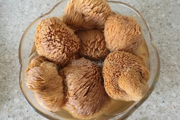 猴头菇炒茭白的做法图解1