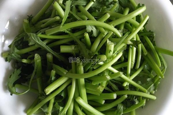 一菜两吃～茼蒿的做法图解1