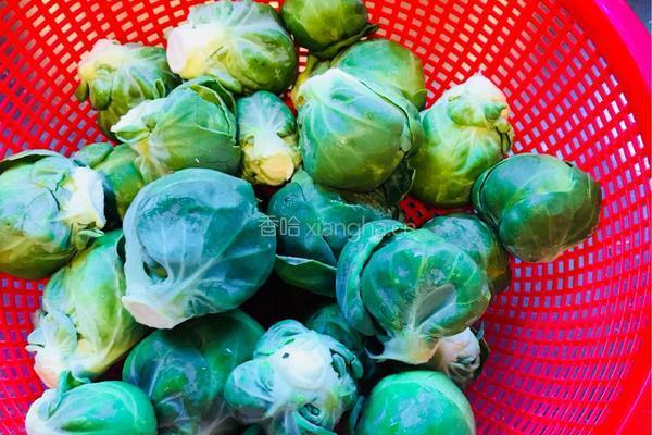 蒜蓉腊肉香炒抱子甘蓝(Brussels Sprouts）的做法图解2