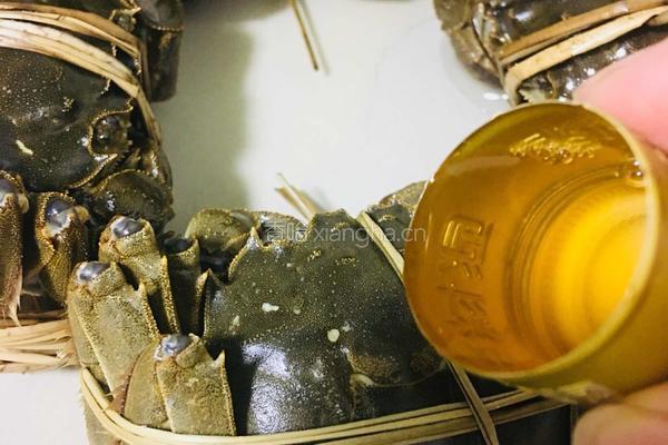 清蒸大闸蟹的做法图解2