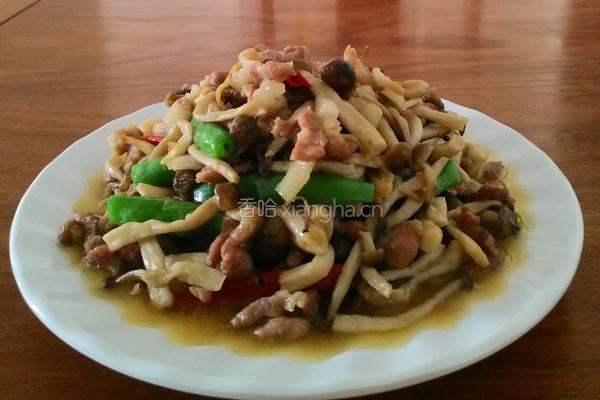 茶树菇炒肉丝的做法图解6