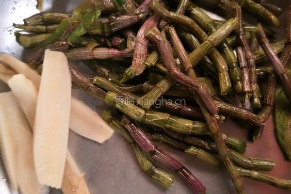 新鲜石斛虫草花炖排骨的做法图解4