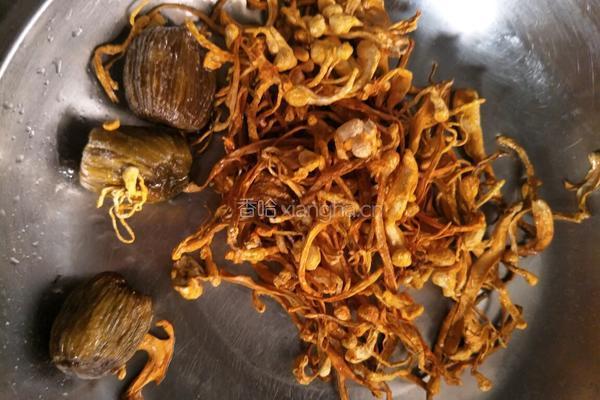 新鲜石斛虫草花炖排骨的做法图解5