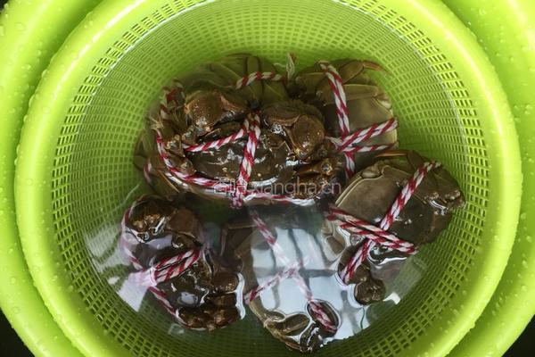 清蒸大闸蟹的做法图解3